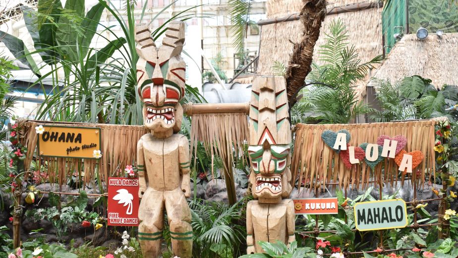 ウォーターパーク