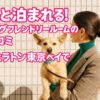 シェラトン・グランデ・トーキョーベイ・ホテルの愛犬同伴OK