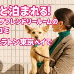 シェラトン・グランデ・トーキョーベイ・ホテルの愛犬同伴OK